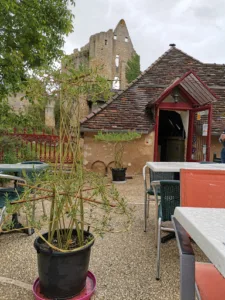 Le donjon de bacchus à Angles-sur-l'Anglin