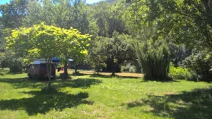 LE KATALPA à Comprégnac