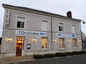 L’orchidée à La Chapelle-Vendômoise