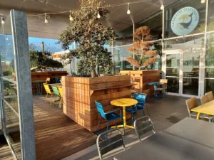 La Baleine Déshydratée Lorient à Lorient