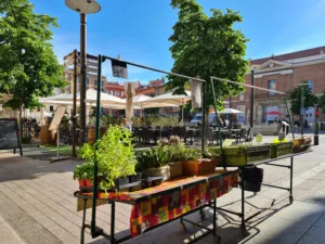 Les Fils Du Brasseur à Perpignan