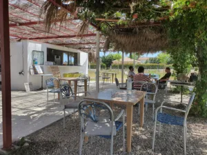 Le Camion – Frites Numero 1 à Lucciana