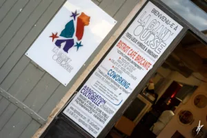 La Grand’Ourse à Saint-Sauvant