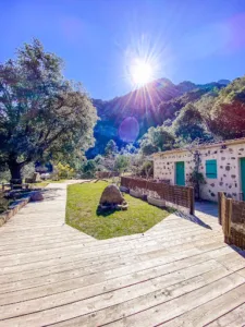 AUBERGE DE LA FORET à Calenzana