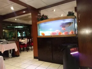 Le Palace d’Asie à Vitry-sur-Seine