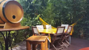 Le boomerang à Saint-Savournin