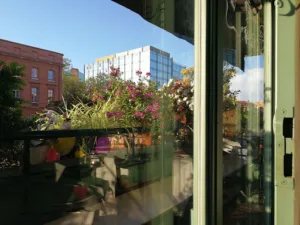 EAU DE FOLLES à Toulouse