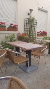 Le Diplodocus à Le Havre