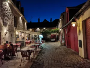 Grill Le Sauvage à Dijon