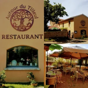 Autour du tilleul à Saint-Cyprien