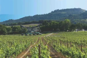 Château La Coste à Le Puy-Sainte-Réparade