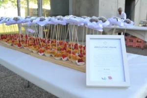 Cannelle et Piment à Vaulx-en-Velin