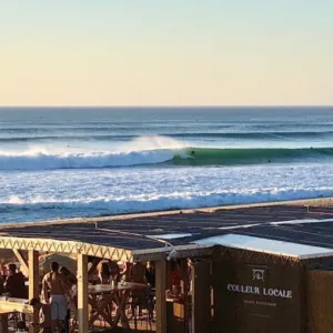 Couleur locale à Seignosse