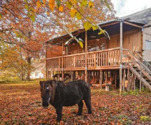 Ecolodge Beauregard à Treigny-Perreuse-Sainte-Colombe