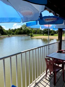 le martin pecheur à Saint-Martin-l'Ars