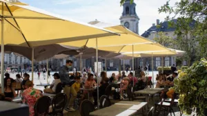 Les Jardins d’Avalon à Rennes