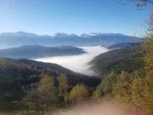 Café Thawit à Roubaix