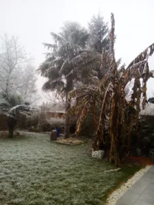 SOHIER à Vezin-le-Coquet