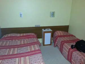 Les Platanes d’Aytré à Aytré