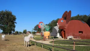 DéfiPlanet’ à Dienné