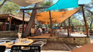 A Piniccia di Saleccia à Santo-Pietro-di-Tenda