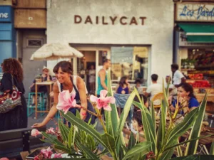 Dailycat à Marseille