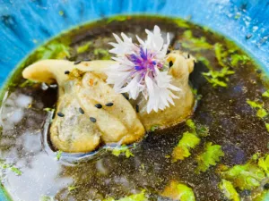 La Salle à Manger Crest à Crest