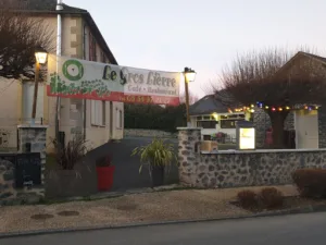 Le gros lierre à Lagraulière