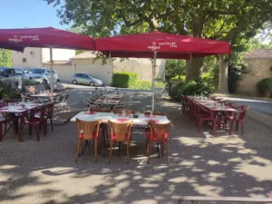 Le Platane à Caux-et-Sauzens