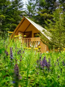 camping municipal des eaux douces à Villar-Loubière