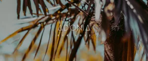 Adonia à Saint-Julien-lès-Metz