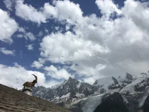Parc de Merlet à Les Houches