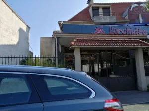 Lorchidée à Fontenay-sous-Bois