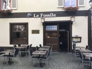 Le Fossile à Strasbourg