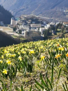 Chalet Hôtel Restaurant de l’Amoulat à Eaux-Bonnes