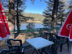 Bar les cèdres à Saint-Marcel-lès-Annonay