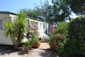 Camping Parc Valrose à La Londe-les-Maures