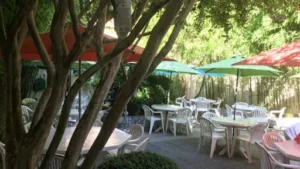 Soleil Levant à Champigny-sur-Marne