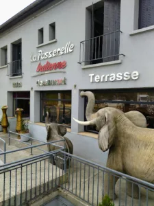 La Passerelle Indienne à Décines-Charpieu