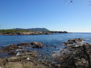Ile des Embiez à Six-Fours-les-Plages