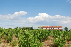 The Corbières Relais à Lézignan-Corbières
