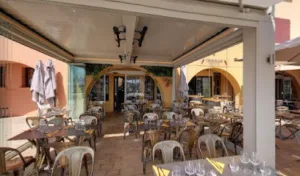 Muscade à Sanary-sur-Mer