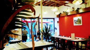 Pio Pio Rico – Restaurant Péruvien – Meaux à Meaux