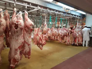 Au Veau Qui Tete à Rungis