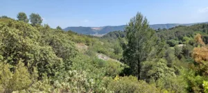 Brasserie de la Font de Mai à Aubagne