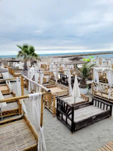 Bambou Palm Beach à Saintes-Maries-de-la-Mer