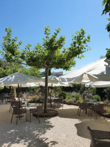 Jardin Méditerranéen (piscine naturelle, grillades & salades) à Grignan