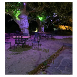 Ferm Campo di Monte à Murato