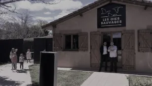 Restaurant the wild goose à Colomiers