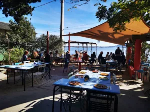 Les Demoiselles Dupuy à Bouzigues